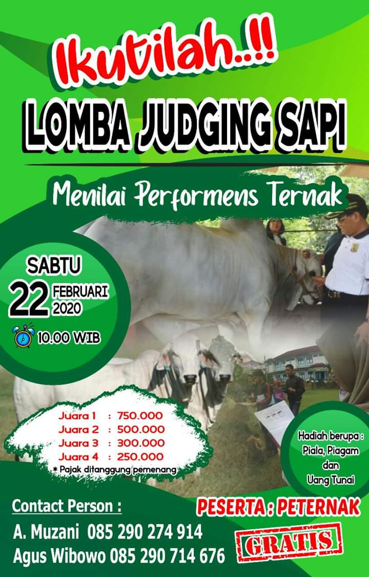 Lomba Judging Sapi Rembang Agro Expo 2020